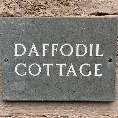 Daffodil Cottage كوكيرماوث المظهر الخارجي الصورة